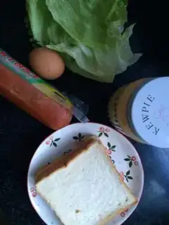 Make Quick-hand sandwich step 0