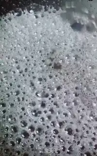 Make Little tomato snowball step 2