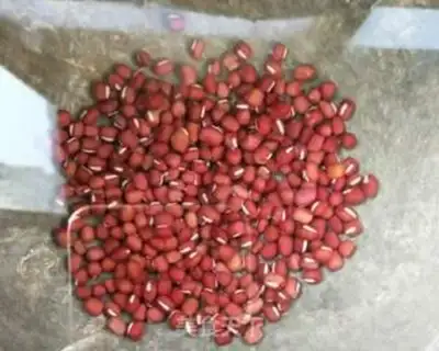 Make Ice-cooled red beans and lilies step 3