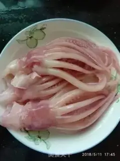 Make Squid step 0