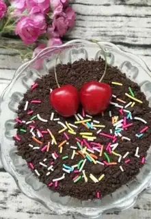 Make The yogurt plant step 5
