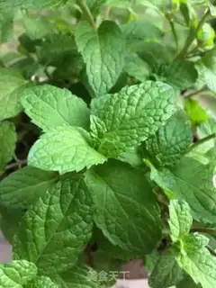Make Lemon mint step 0