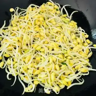 Make A sprout fan step 2