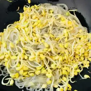 Make A sprout fan step 3