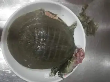 Make Vacuated nailfish step 3