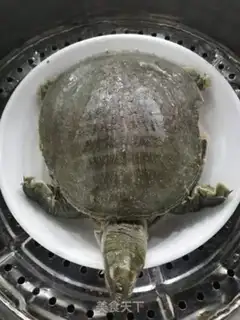 Make Vacuated nailfish step 6