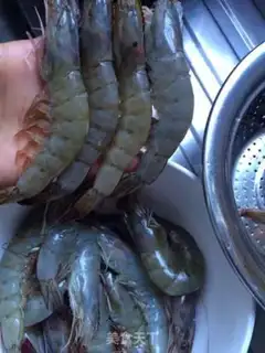 Make Shrimp step 0