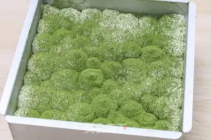 Make Tea snow field step 22