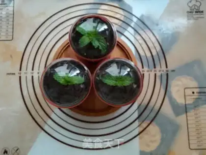 Make Olio
