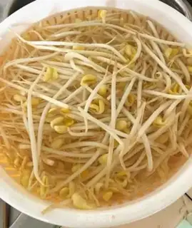 Make Soybean sprouts step 2