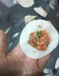 Make Pork dumplings step 3