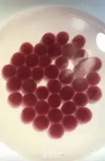 Make Fruit Pearl Milk Tea step 4