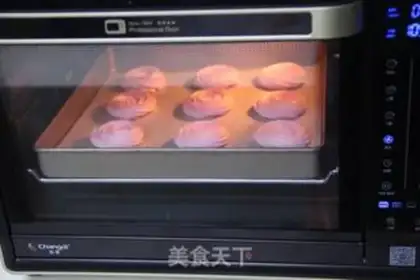 Make Rose protein step 9
