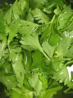 Make Celery leaves and wood step 2
