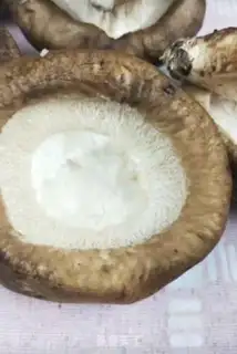 Make Frozen eggs step 0