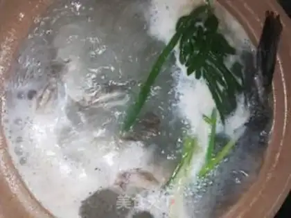 Make Black fish tofu soup step 4