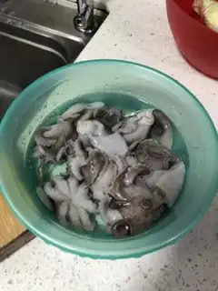 Make octopus step 0