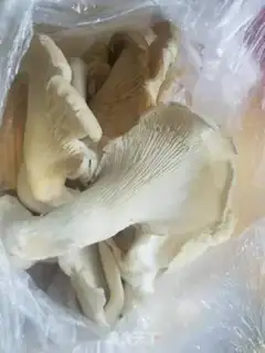 Make Pretzels step 0
