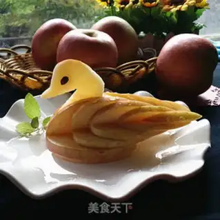 Make Swan playwater step 13
