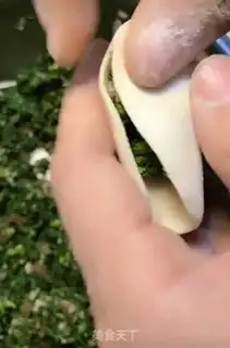 Make The meat dumplings step 9