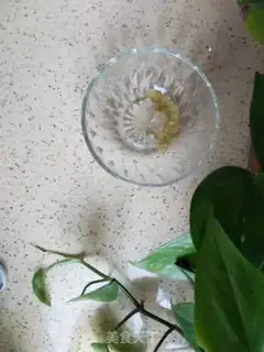 Make Pyramid step 0