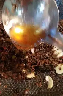 Make Plum chow step 7