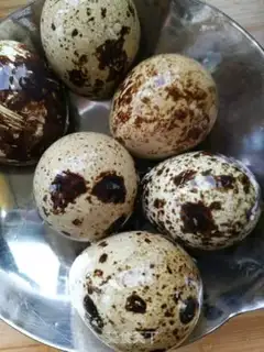 Make Five quail eggs step 0