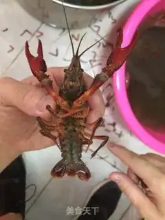 Make Shrimp step 0