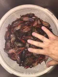 Make Shrimp step 6