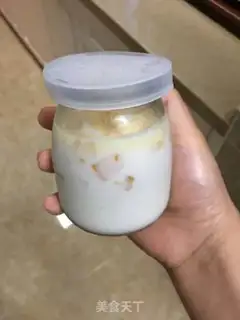 Make Mango pudding step 8