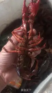 Make Garlic shrimp step 0