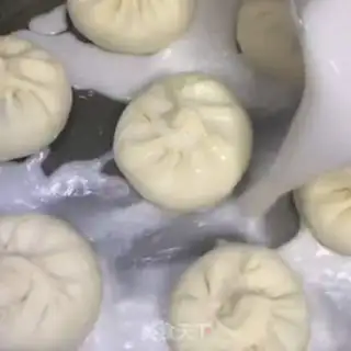 Make Pork dumpling step 14