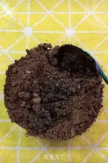 Make Waterquamus cake step 2