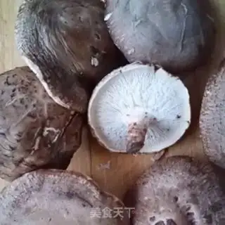Make Mushroom oil step 5