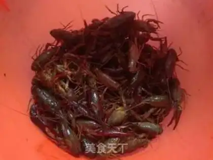 Make Lobster step 0