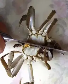 Make Fried crabs step 0