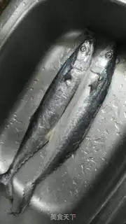 Make Squidfish step 0