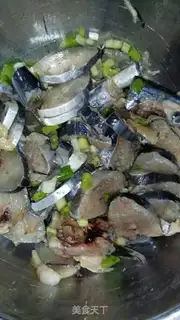 Make Squidfish step 2