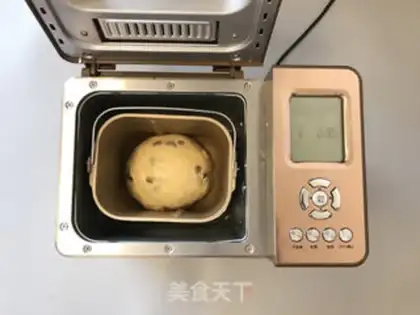 Make Bread machine, Goo Goo Hoff step 5