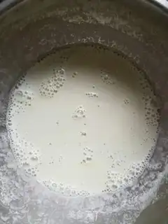 Make Homemade green bean powder step 0