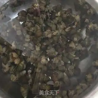 Make Snails step 1