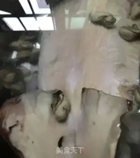 Make Squid step 0