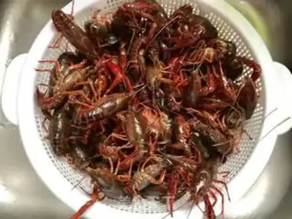 Make A little lobster step 3
