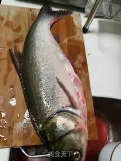 Make Steamfish step 0