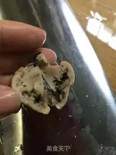 Make Squid step 8