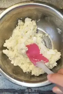 Make Protein coconut ball step 3