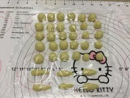 Make A baby turtle step 11