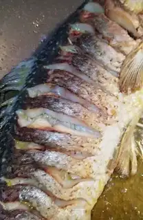 Make Carp step 1