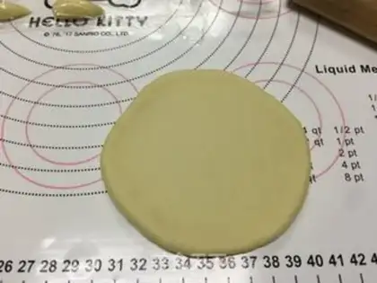 Make A baby turtle step 13