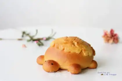 Make A baby turtle step 21